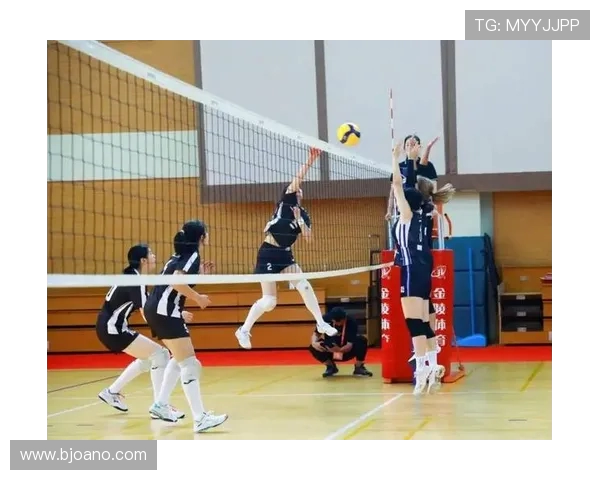 上海排球队的比赛经验揭秘与排球巨献的深度解析