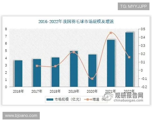 南京羽毛球队实力揭秘：羽毛球巨献背后的训练与成就分析