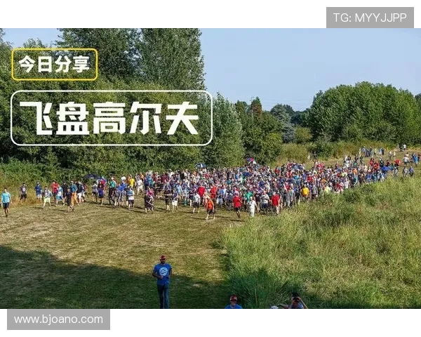 武汉飞盘队配合策略深度剖析与其他队伍的对比研究