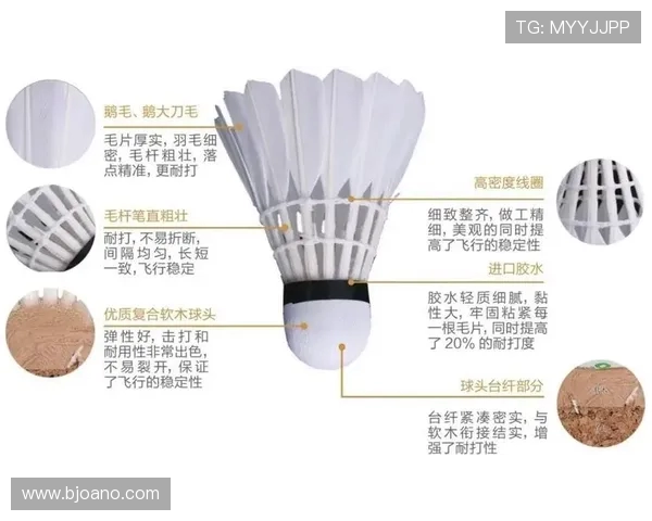 羽毛球热点：解读西安羽毛球队的节奏