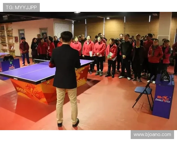 重庆乒乓球队的区域防守策略与技术深度解析