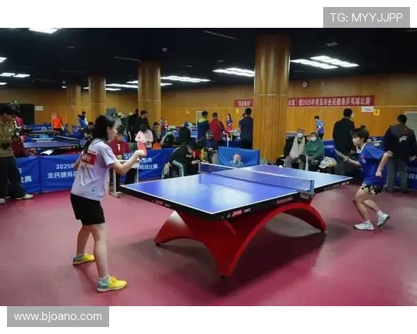 乒乓球运动的魅力与发展探索全民健身时代的竞技与文化融合